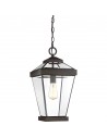 RAVINE Udendørs loftlampe i stål og glas H60,5 - 308 cm 1 x E27 - Antik bronze/Klar