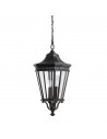 COTSWOLD LANE Udendørs loftlanterne i aluminium og glas H67,9 - 200 cm 3 x E14 - Sort/Klar