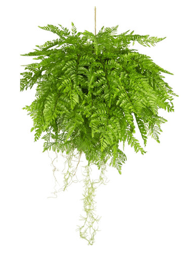 kunstige planter bregne naturtro