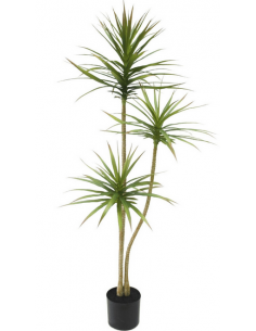 kunstige planter dracanea naturtro