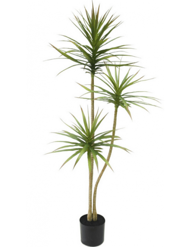kunstige planter dracanea naturtro