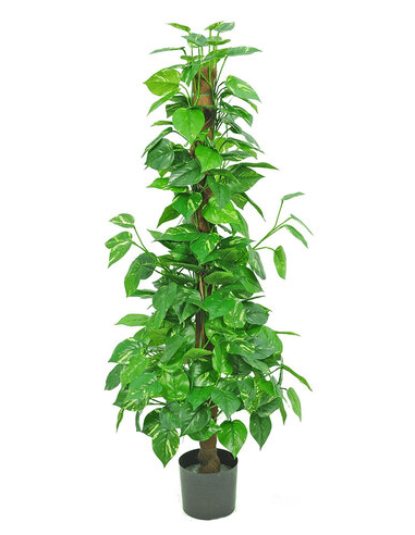 kunstige planter pothos naturtro
