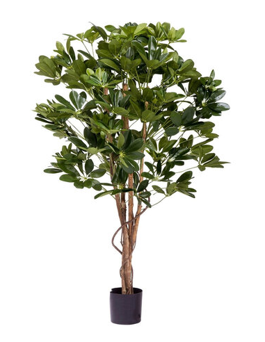 kunstige planter schefflera naturtro