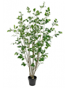 Kunstig Ficus plante H180 cm