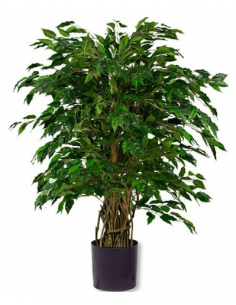 kunstige planter ficus naturtro