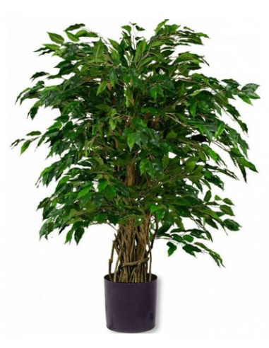 kunstige planter ficus naturtro