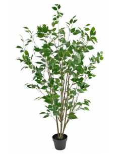 kunstige planter ficus naturtro