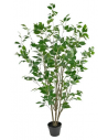 Kunstig Ficus plante H150 cm