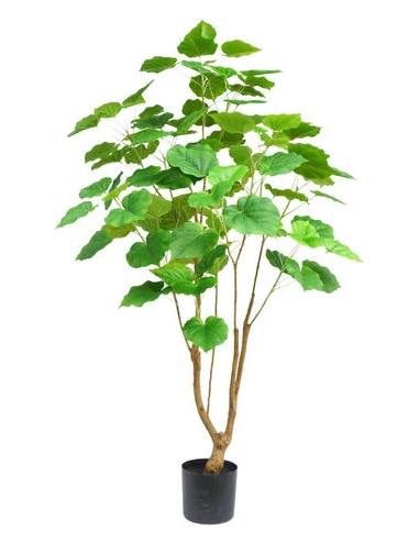 kunstige planter ficus naturtro
