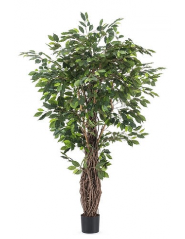 kunstige planter ficus naturtro