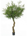Stort kunstigt oliventræ H270 cm