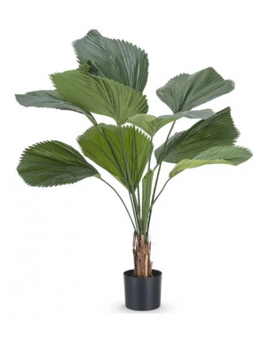 kunstige planter lucuala naturtro