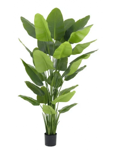 kunstige planter strelitzia naturtro stor