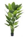 Stor kunstig Strelitzia deluxe plante H210 cm