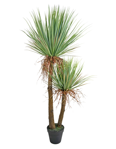 kunstige planter yucca naturtro