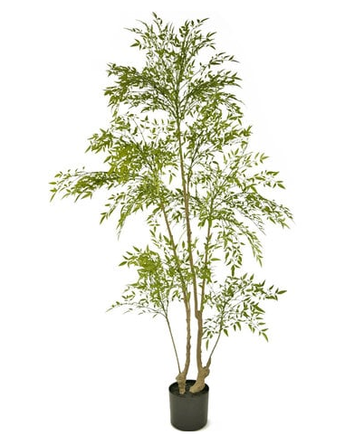 kunstige planter ruscus naturtro