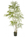 Kunstig Ruscus plante H180 cm