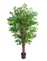 Kunstig Ficus Hawaii plante H150 cm