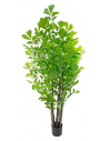 Kunstig Fishtail plante H210 cm