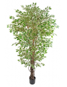 Kunstig Ficus Hawaii plante H180 cm - Hvidtippet