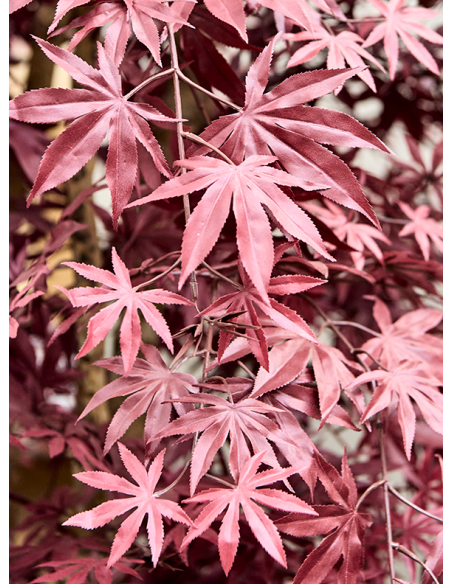 Store kunstige træer kunstigt træ naturtro virkelighedstro virklighedstro trær blomster blomstertræ