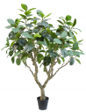 Stort kunstigt Ficus Botanic træ H240 cm