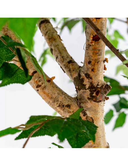 stort kunstigt træ artificial trær træer planter kunstige naturtro