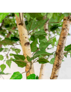 stort kunstigt træ artificial trær træer planter kunstige naturtro 2