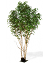 Stort kunstigt Ficus træ H450 cm