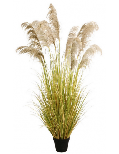 pampas græs pampasgræs græs kunstig plante
