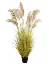 Kunstigt Pampas græs H200 cm