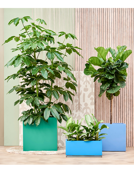 kunstig krukke stor kæmpe diameter design moderne dekorativ kontorbeplantning kontorindretning erhvervsplanter