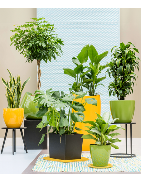 kunstig krukke stor kæmpe diameter design moderne dekorativ kontorbeplantning kontorindretning erhvervsplanter