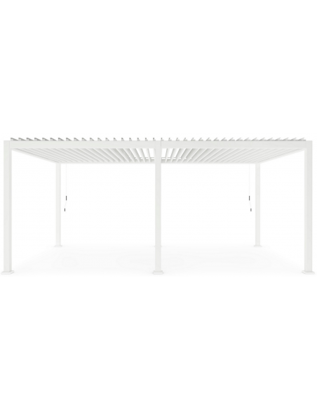 havepavillon havepavillion pavillon pavillion