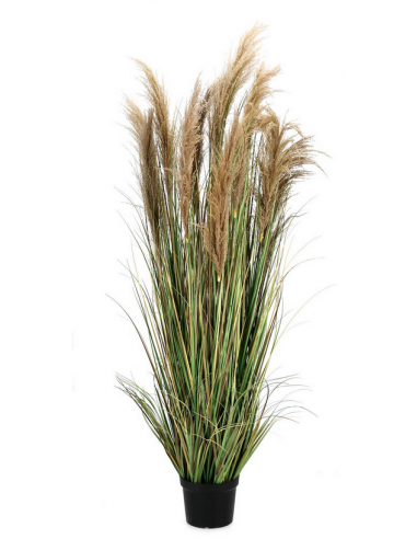 pampas græs pampasgræs græs kunstig plante