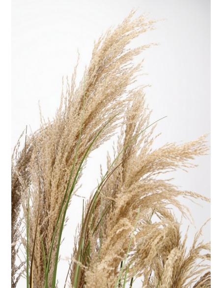 pampas græs pampasgræs græs kunstig plante