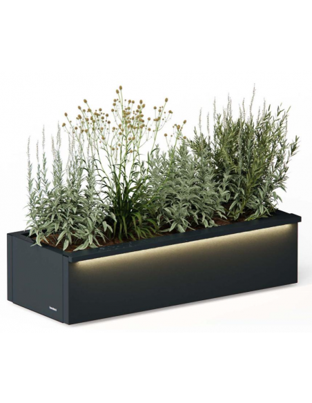 højbed plantekasser havedekoration højbede sort stål LED lys belysning