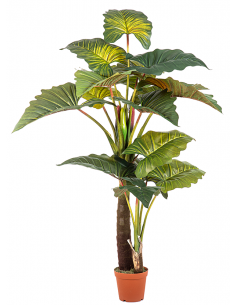 kunstige planter colacasia flotte naturtro design kontorplanter kontorbeplantning vedligeholdelsesfri