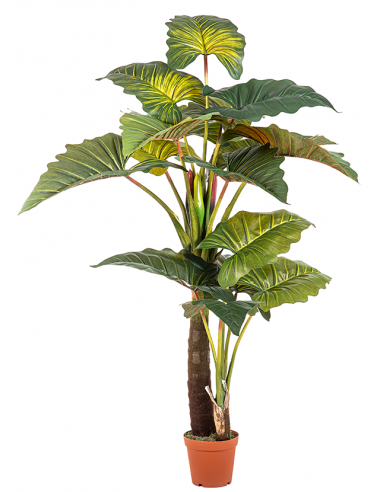 kunstige planter colacasia flotte naturtro design kontorplanter kontorbeplantning vedligeholdelsesfri