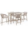 KALI Barbord og barstole sæt i aluminium og olefin - Grå trælook/Beige
