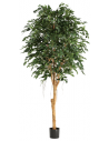 Stort kunstigt Ficus Exotica træ H250 cm