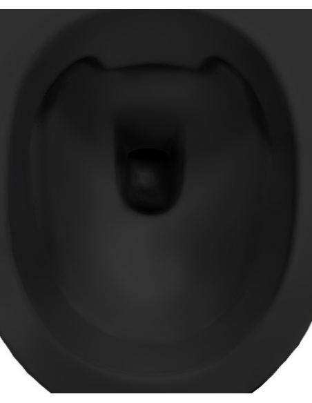 væghængt toilet sort mat blank skinnende badeværelse indretning design