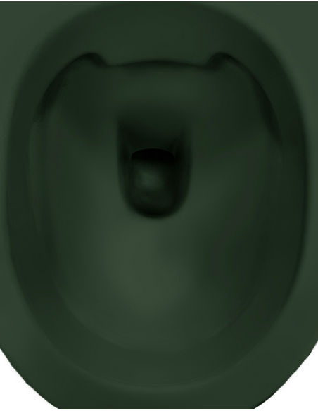 væghængt toilet grøn mat blank skinnende badeværelse indretning design